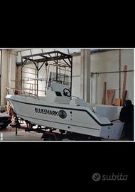 Barca a motore fuori bordo blue shark