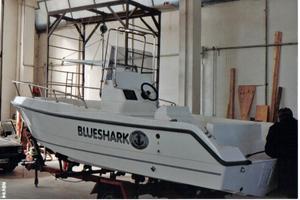 Barca a motore fuori bordo blue shark