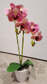 Orchidea finta con vaso in ceramica - Giardino e Fai da te In vendita a  Taranto