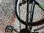 Immagine 3