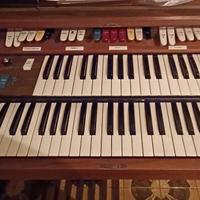 Organo elettronico
