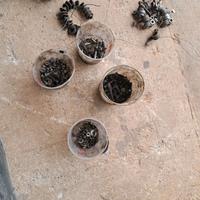 Ricambi motore fiat 500 e 126