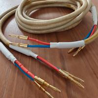 cavo di potenza Chord Carnival Silver Screen 