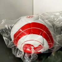 Pallone da calcio Ringo Pavesi – Edizione Limitata