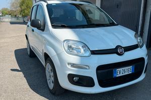 Fiat pand 2014