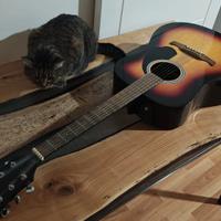 Chitarra Fender