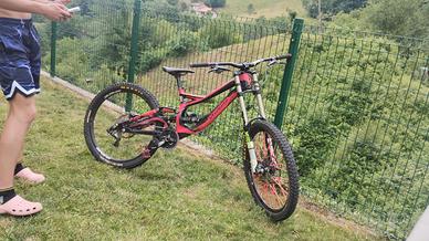 bici DH specialized 