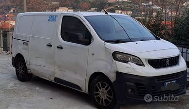 Peugeot expert coibentato