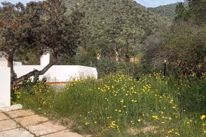Torre delle stelle: terreno di 35.000 mq