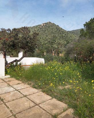Torre delle stelle: terreno di 35.000 mq