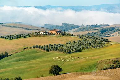 Terreni agricoli a Baragiano PZ