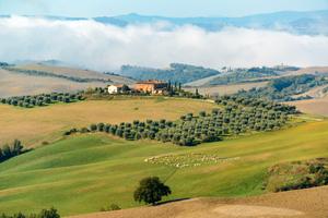 Terreni agricoli a Baragiano PZ