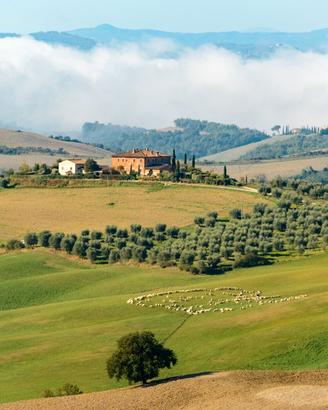 Terreni agricoli a Baragiano PZ