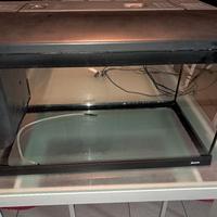 acquario newa 60 litri 