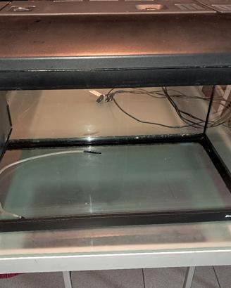 acquario newa 60 litri 