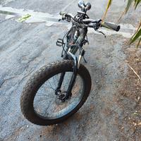 bici pedalata assistita 