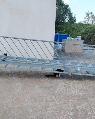 Scala in ferro per esterno