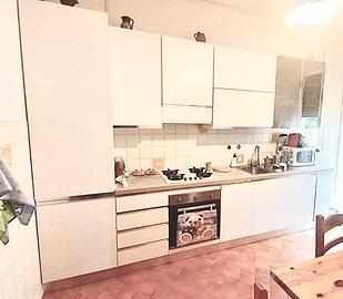 Cucina lineare bianco opaco