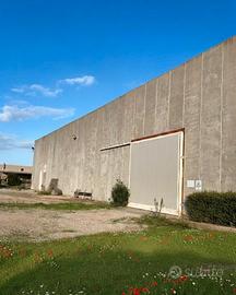 Alghero AMPIO CAPANNONE CON TERRENO