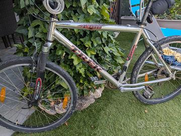 Mountain bike uomo Trek