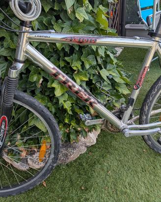 Mountain bike uomo Trek