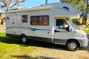 Cellula International , fiat anno 2000