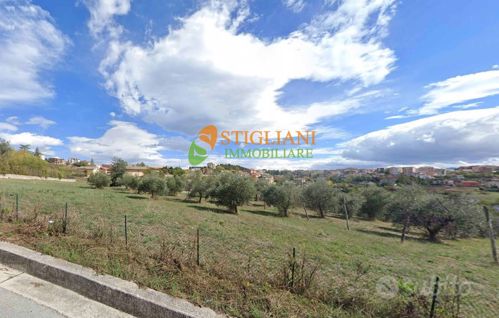 Terreno Agricolo, Contrada Colle delle Api - Ca... - Vista 3