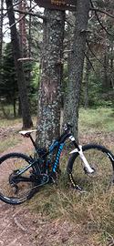 Mtb NINER full muscolare