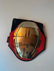 Paraschiena Zandonà