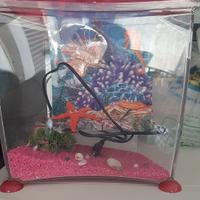 acquario Marina cool 10