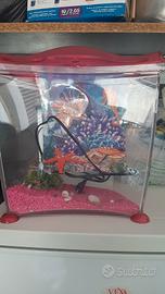 acquario Marina cool 10