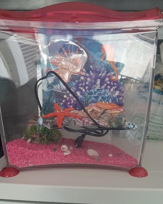 acquario Marina cool 10