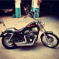 Harley-Davidson xlc 1999 custom