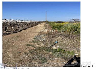 Terreno Agricolo Mola di Bari [A4294260]