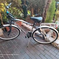 City Bike DAYTONA  da uomo