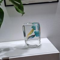 Acquario in vetro con due meduse