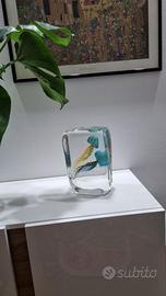 Acquario in vetro con due meduse