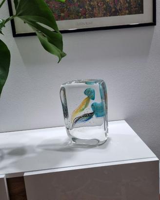Acquario in vetro con due meduse