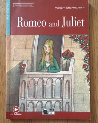 ROMEO AND JULIET BLACK CAT