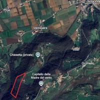 Bosco ceduo in collina