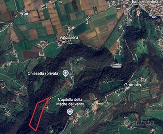 Bosco ceduo in collina