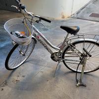 bicicletta in alluminio 