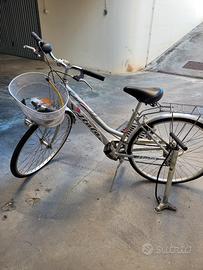 bicicletta in alluminio 