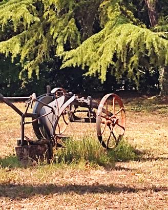 Aratro in ferro decorativo per giardino