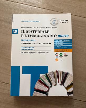 Libro il materiale e l’immaginario nuovo 3B