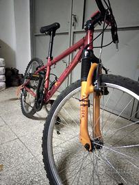 bicicletta inutilizzata
