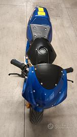 Mini Moto Elettrica 1000W 36V Velocità 25Km/h 