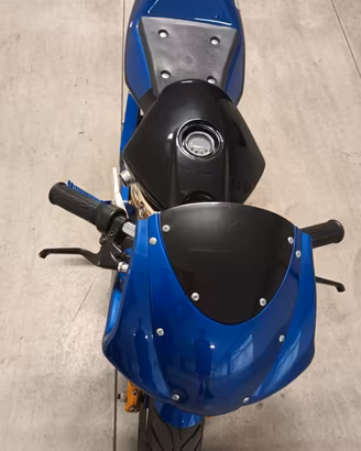 Mini Moto Elettrica 1000W 36V Velocità 25Km/h 