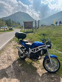 Suzuki SV650 2001