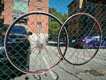 Ruote Ambrosio Moena Pignone Campagnolo 10 v